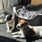 Sharon Partridge - @shazk1970 - Instagram