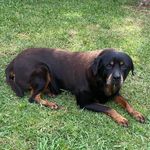 Sharon Partridge - @shazza5562 - Instagram