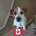 Sharon Pass - Facebook