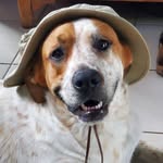 Sharon Pass - @sharebear1965 - Instagram