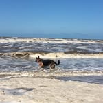 Sharon Patchell - @sharonpatchell - Instagram