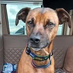 Sharon Pattinson - @sharon.pattinson1 - Instagram