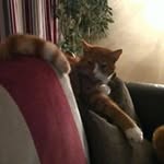 Sharon Pattison - @sharon.pattison.100 - Instagram