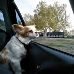 Sharon Paull - @sharon.paull.549 - Instagram