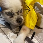Sharon Paull - @sharonpaull469 - Instagram