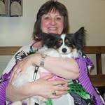 Sharon Paull - @paullsharon - Instagram