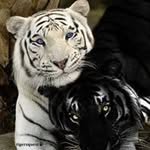 sharon - @sharonpaull839 - Instagram