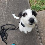 Sharon Pendergast - @slpendy65 - Instagram