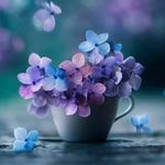 Sharon Pendergast - @pendergast.sharon - Instagram