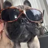 sharonpendleton4 - @sharonpendleton4 - TikTok