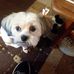 Sharon Penwell - Facebook