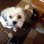 Sharon Penwell - @sharon.penwell.3 - Instagram