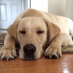 Sharon Percy - @sharonpercy777 - Instagram