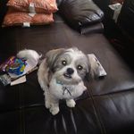 Sharon Person - @sharon.person.90 - Instagram