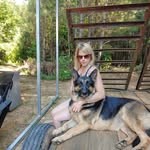 Sharon Petitt - @sharonpetitt71 - Instagram