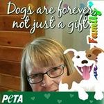 Sharon Pfeffer - @sharon.pfeffer.9 - Instagram