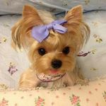 Sharon Pfeffer - @pfeffer.sharon2014 - Instagram