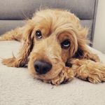 Sharon Philpot - @sharon.philpot - Instagram