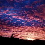 Sharon Philpot - @sphilpot83 - Instagram