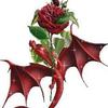 sharonnconnellyphinney - @sharonnconnellyphinney - TikTok