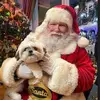 Sharon Shari Chase Picard - @sharon.shari.chas - TikTok