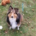 Sharon Barnett Pickens - @pickenssharon - Instagram