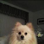 Sharon Pickens - @sharon.pickens.96 - Instagram