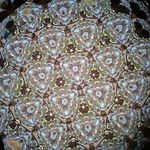 Sharon Pickens-Green - @sharonsweetgrass - Instagram