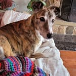 Sharon Pickrell - @sharon.pickrell - Instagram