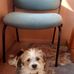 Sharon Pitcher - Facebook