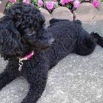 Sharon L Collins Pitkin - @ttfydmtwsc1.4.0 - Instagram