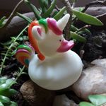 Sharon Pitkin - @captainsharonpants - Instagram