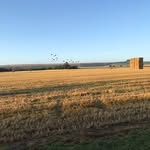 Sharon Plank - @lydeway5sharon - Instagram
