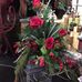 Sharon Plank - Facebook