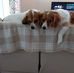 Sharon Plank - Facebook