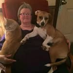 @sharonstuckpleasant - Instagram