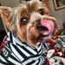Sharon Pohlman Wagoner - Facebook