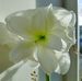 Sharon Polson - Facebook