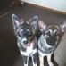 Sharon Polson - Facebook