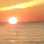 Sharon Pomeroy - @sharonp721 - Instagram
