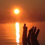 Sharon Pomeroy - @funnyfeather69 - Instagram