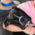 Sharon Prentice - @sharon.prentice.5 - Instagram