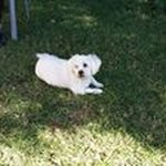Sharon Priest - @sharon14762 - Instagram