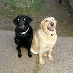 Sharon Proctor - @sharon.proctor.3576 - Instagram