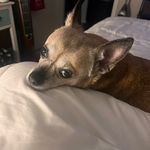 Sharon Pruitt - @sharon1957 - Instagram