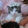 Sharon Raber - @sharon.raber - TikTok