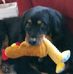 Sharon Rahn - Facebook