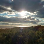 Sharon Bostwick Rainey - @sharon.b.rainey - Instagram