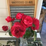 Sharon - @sharon.ramage - Instagram