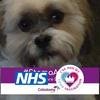 sharonramage321 - @sharonramage321 - TikTok